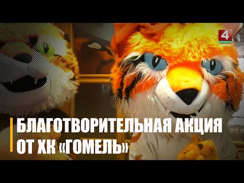 ХК «Гомель» прямо в Ледовом дворце устроит игрушкопад видео