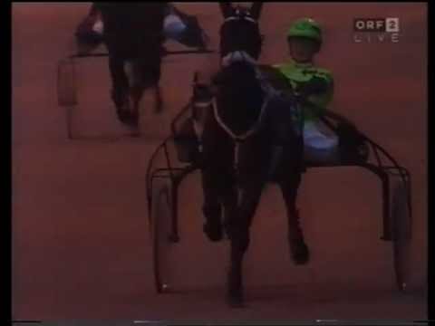 Traberroulette 1994 - Vorschau