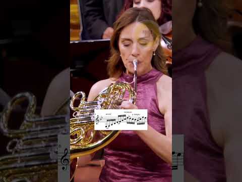 Very deep tone on Mozart K447 cadenza by Sarah Willis!!! #classicalmusic #music #musician #orchestra