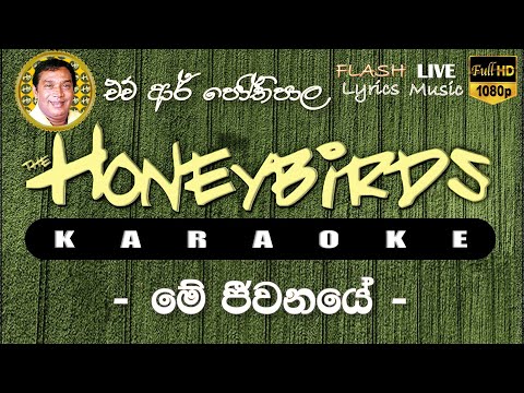 Me Jeewanaye Karaoke (Without Voice) මේ ජීවනයේ කැරෝකේ