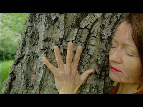 "Amor y primavera" - When it was not allowed to embrace a human being... Tango with trees...