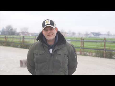 20.000 Euro und das zweite tote Pferd...