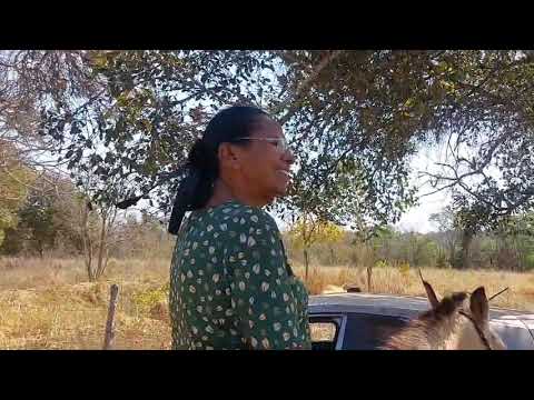 Santa Fé de Minas-MG 