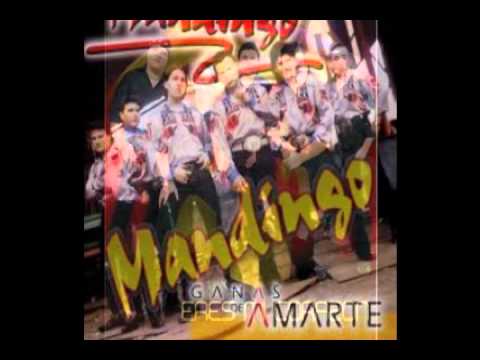 Mandingo  ( Te Va a Doler  )