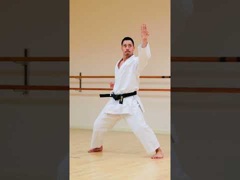 KATA ENPI | Shotokan Karate🥋🔥