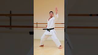 Download lagu KATA ENPI | Shotokan Karate🥋🔥 mp3 Download lagu KATA ENPI | Shotokan Karate🥋🔥 mp3