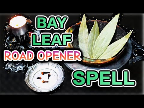 🌿 BAY LEAF ROAD OPENER SPELL 🔮 For Luck In Opening Roads In Your Favor 🌿