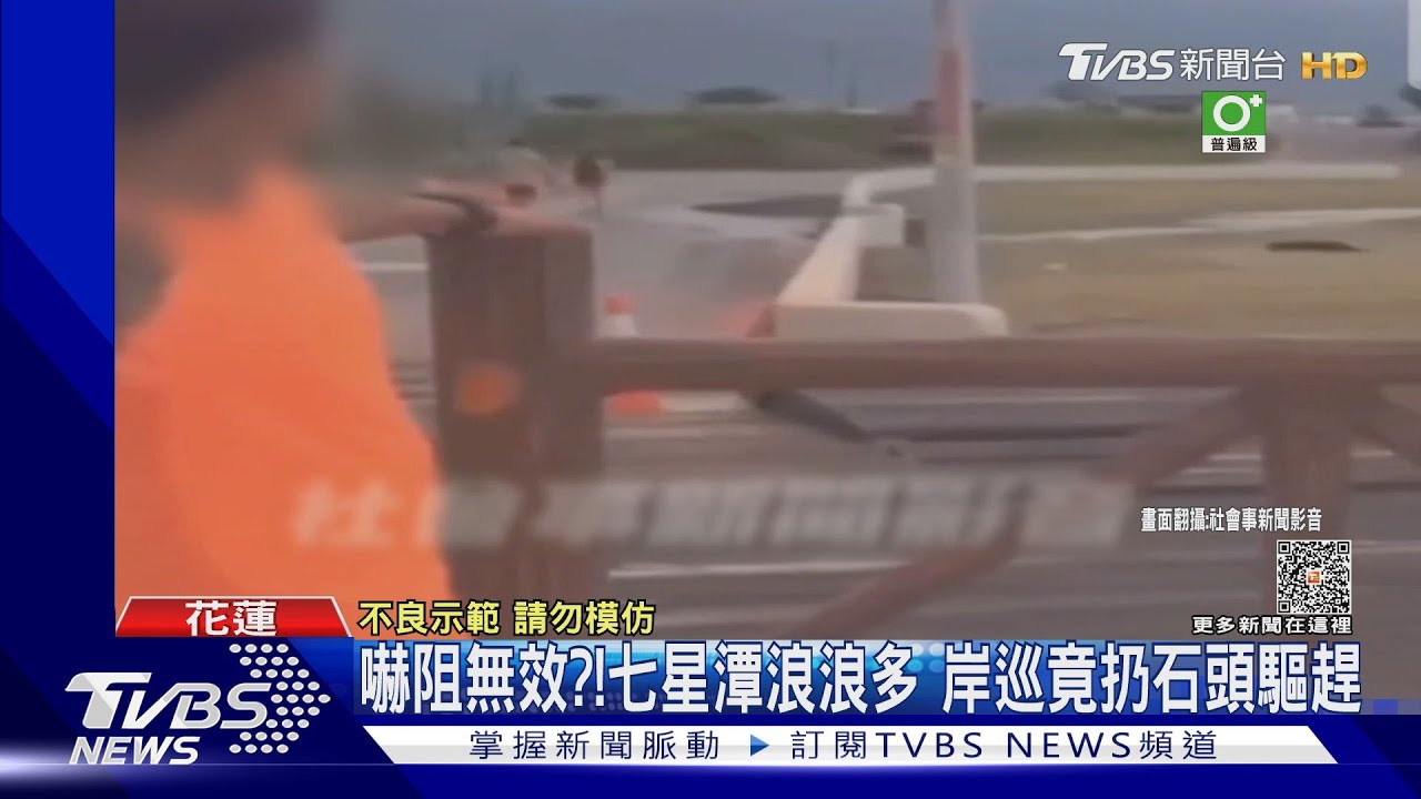 嚇阻無效？七星潭浪浪多　岸巡竟扔石頭驅趕