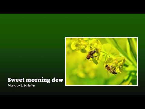 Sweet morning dew (Band+Soloinstrumente) - Music by E. Schlaffer