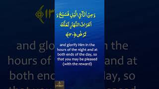 Download lagu Surah Taha | Verses 130 to 132 | English Translation | Omar Hisham Al-Arabi  #shortsviral#shortsfeed mp3