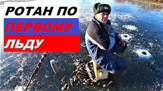 Где клюет ротан в московской области