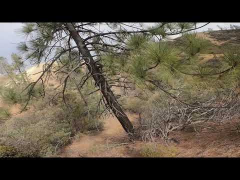 Ken roczen backflips bike at Anaheim 1 naked