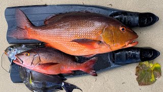 Ciguatera Poisoning S12 E4
