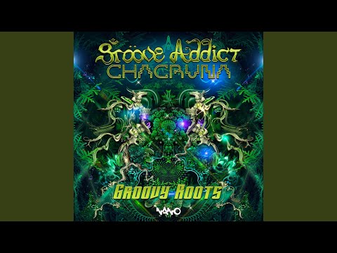 Groovy Roots