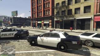 GTA 5 LSPDFR Police PS4 Director Mode
