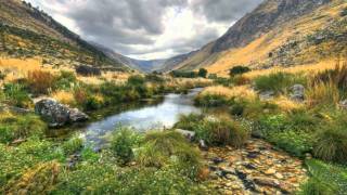 Misty Roses - Kenny Rankin.