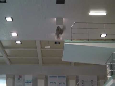 Diving Blooper - 307C 10m painful smack