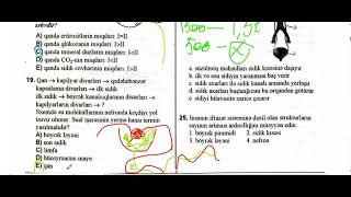 ifrazat sistemi. Sidiyin əmələ gəlməsi. DİM