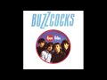 Buzzcocks - Nostalgia