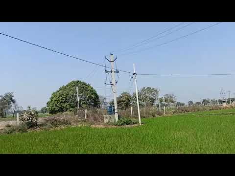  Agricultural Land 3 Acre for Sale in Narsapur, Medak