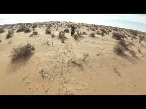 13 TUNISIA HUSKY 350 2019