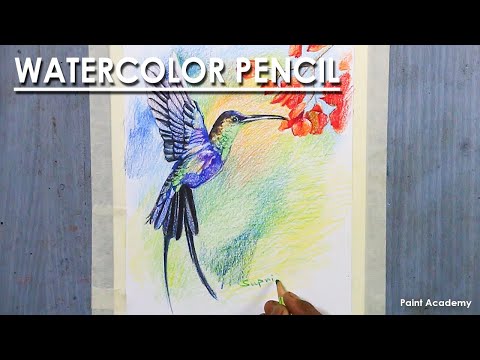 Watercolor Pencil Bird Drawing A Composition on Humming Bird