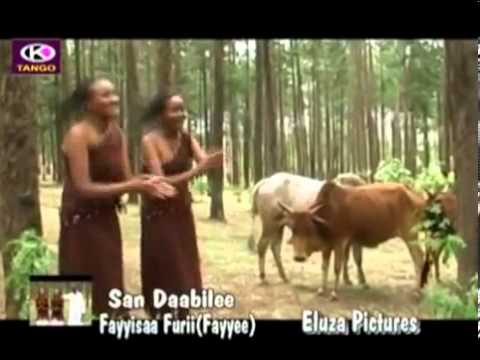Fayyisaa Furii   San Daabilee (Oromo Music)
