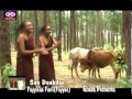 Fayyisaa Furii San Daabilee Oromo Music