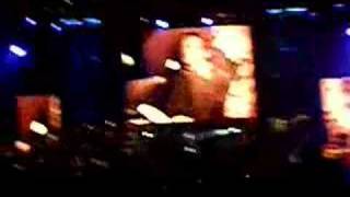 Ákos Lepkegyűjtő - Kaszás Attila emlékére