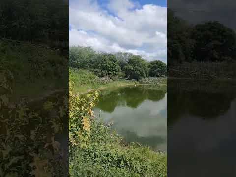 Tanque da nação  Nova Redenção Bahia