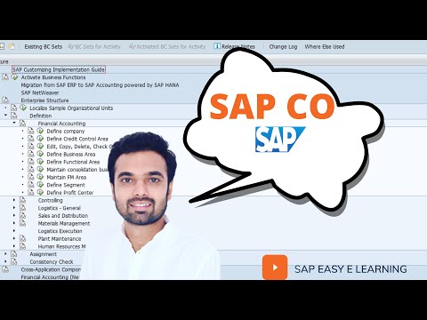 SAP CO Training | SAP CO Video Based Course | SAP FICO  training for beginners 2022