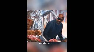 🎒🐈 O gato guardava tudo na barriga! #shorts #viral