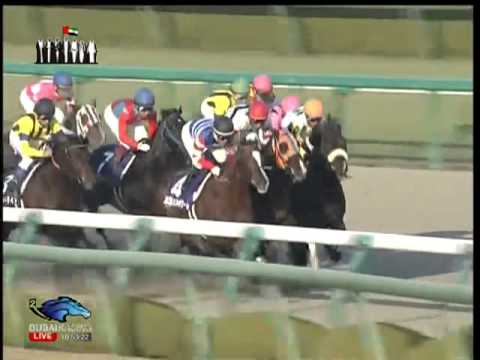 2013.12.01 Japan Cup Dirt - Belshazzar