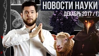 Новости науки. Декабрь №1