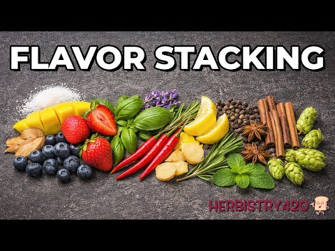Flavor Stacking Hits: How Preloading Taste Affects a Cannabis Session Experience