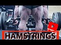 Nick Walker | How to grow MASSIVE Hamstrings!!!