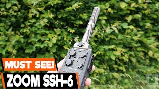Zoom SSH-6 Review: The Stereo Shotgun Mic that SAVED My Filmmaking Audio! (H5/H6/Q8)