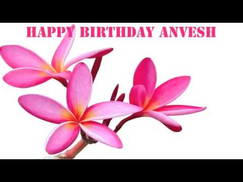 Anvesh Nagabathini B'day from Neeru