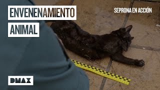 Thumbnail del capítulo