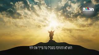 למה בית המקדש נבנה בדיוק במקום עקדת יצחק? (הרב יואב אקריש) - התמונה מוצגת ישירות מתוך אתר האינטרנט יוטיוב. זכויות היוצרים בתמונה שייכות ליוצרה. קישור קרדיט למקור התוכן נמצא בתוך דף הסרטון