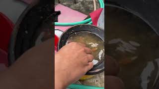 Download lagu Fishing for Catfish Fish Bait #fishing #catfish #ngawur mp3 Download lagu Fishing for Catfish Fish Bait #fishing #catfish #ngawur mp3