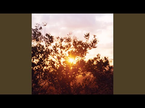 Video thumbnail for wildflower