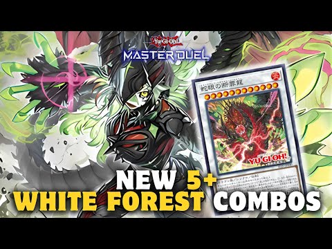 NEW WHITE FOREST AZAMINA COMBOS | EASY GUIDE & DECKLIST | Yu-Gi-Oh! Master Duel
