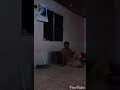 Baza Baje Kina Bazi By Afrah