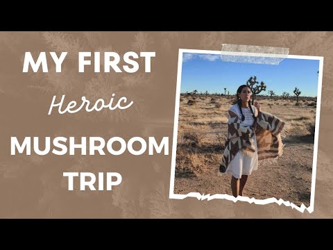 Soma Shaman My First Heroic Magic Mushroom Therapy Medicine Trip! What was it like? 🍄 #mushrooms