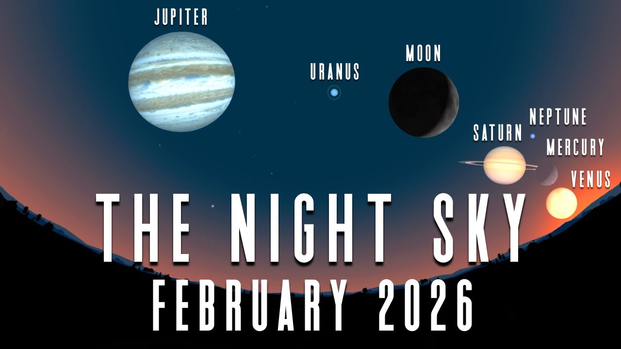 The Night Sky | February 2026 | A Planetary Parade | Full Snow Moon | Comet E1 Wierzchos