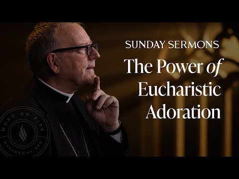 The Power of Eucharistic Adoration - Bishop Barron's Sunday Sermon