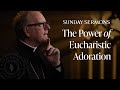 The Power of Eucharistic Adoration - Bishop Barron's Sunday Sermon