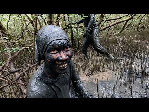 EP698-P1 - Lokan Tocino Ala Dalaman | Occ. Mindoro