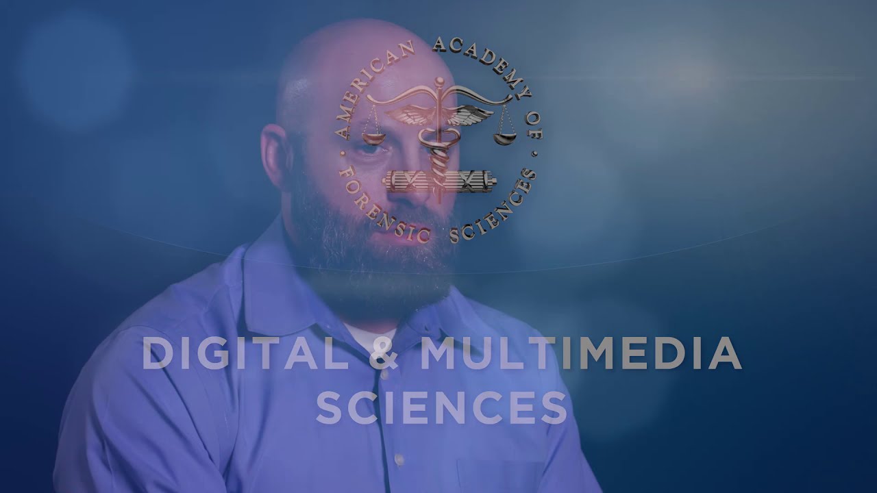 What is Digital and Multimedia Science?